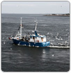 Caribe se enfrentan a la pesca INDNR con un control elevado de los buques de pesca