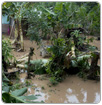 Un frente frío deja intensas lluvias e inundaciones en Nicaragua