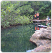 Recomiendan proteger al cenote El Aerolito