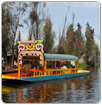 Canales y lagos de Xochimilco, en riesgo de desaparecer