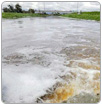 Río Lerma está más muerto que vivo