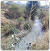 Encuentra Profepa descargas ilegales de agua en Cuautlancingo