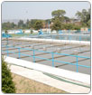 Sanea Cuautla 70% del agua residual
