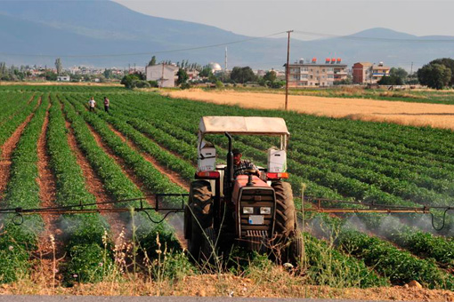 El uso mundial de pesticidas y fertilizantes minerales se multiplica