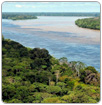 Aumento de emisiones secará la Amazonia y hará más húmedos los bosques de África