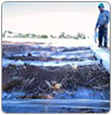 Plantean usar agua de la presa Allende para consumo humano
